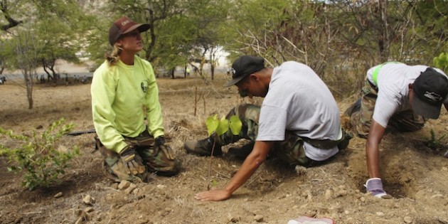Planting