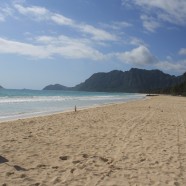 1st Annual Hawaii Army National Guard (HIARNG) Earth Day Beach Clean Up