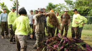 The Hawaii Army National Guard Environmental office is hunting down and eradicating the invasive species Miconia on Keaukaha Military Reservation near Hilo. The Environmental crew along with partners Big Island Invasive Species Committee and University of Hawaii, pile up some of the 4600 plants eradicated.