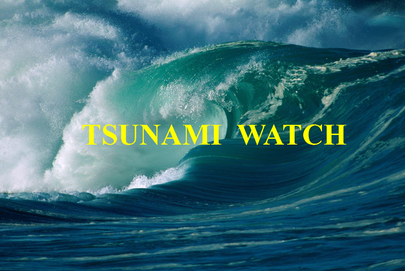 Hawaii Emergency Management Agency | TSUNAMI WATCH: