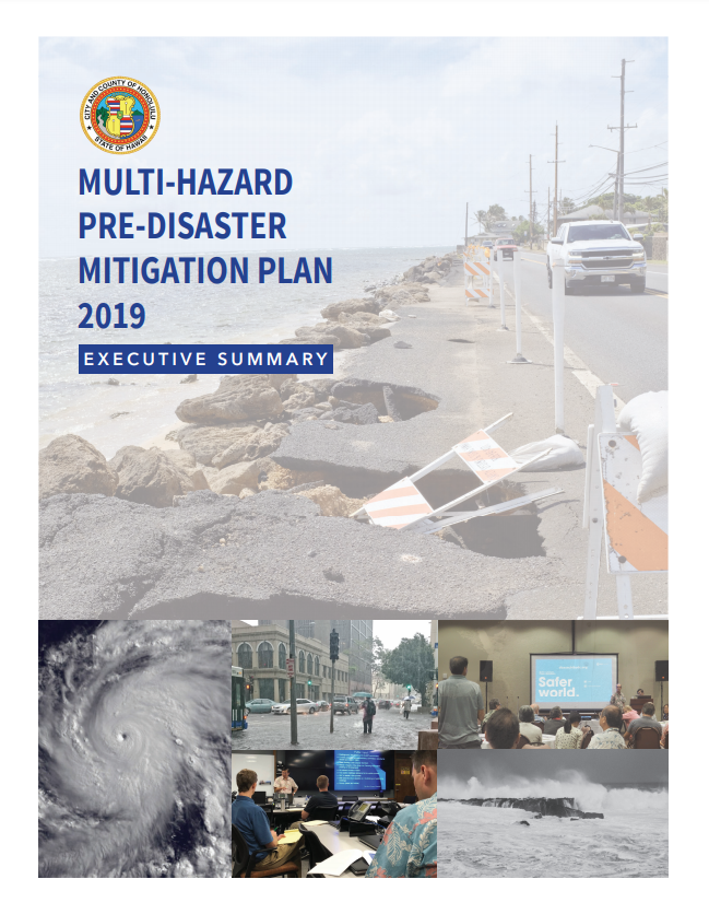 disaster mitigation plan