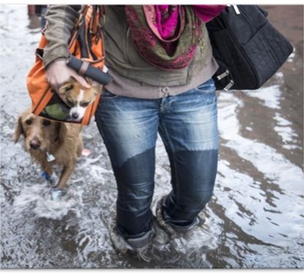 If You Need to Evacuate Your Home