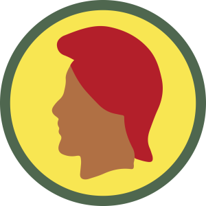 Hawaii Army National Guard logo