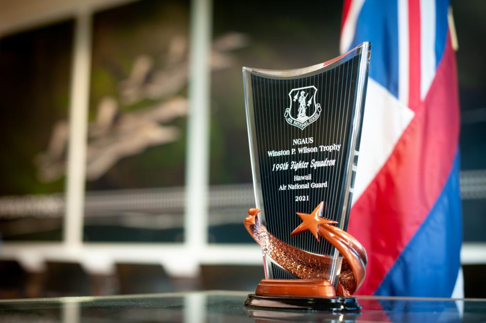 Hawaii ANG fighter pilots claim top honors with Winston P. Wilson Trophy￼