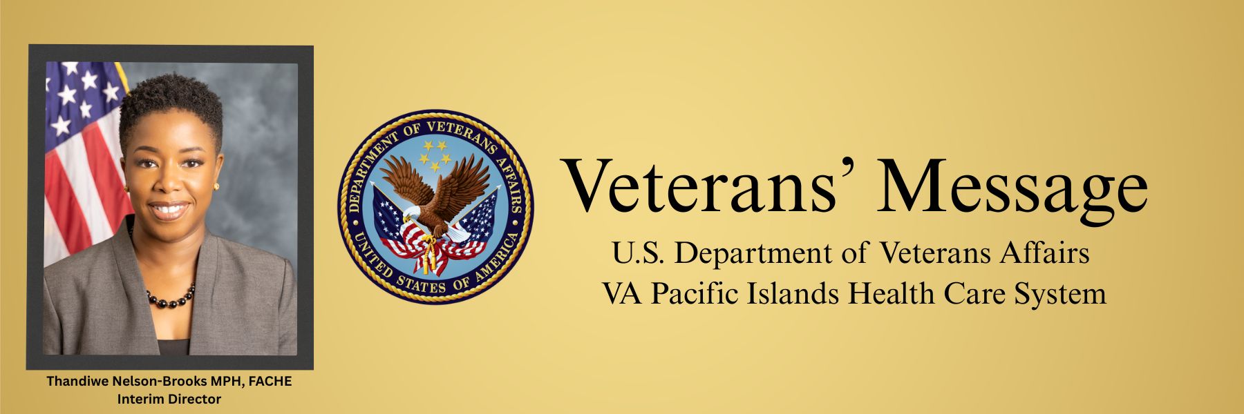 VAPIHCS Veterans