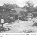 Heavy rains on Hawaii caused flooding and millions of dollars in property damage.