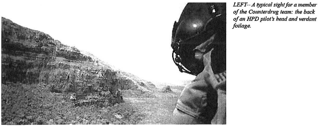 A typical sight/or a member of the Counterdrug team: the back of an HPD pilot's head and verdant foliage