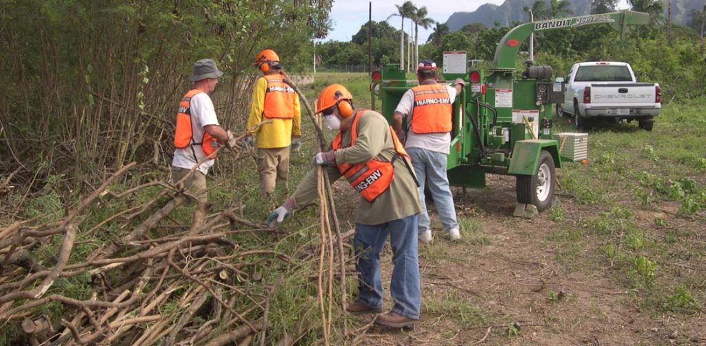 MANAGING THE LAND – Environmental Office staff works with Hawaii’s youth to educate them on native plants and endangered species and clearing public lands of invasive species during National Public Lands Day and Earth Day. Environmental Office photo