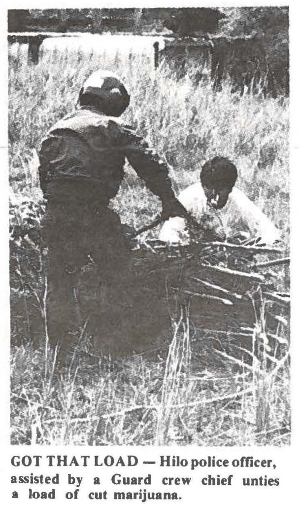 GOT THAT LOAD -Hilo police officer, assisted by a Guard crew chief unties a load of cut marijuana.