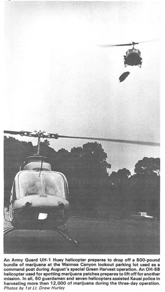 An Army Guard UH-1 Huey helicopter prepares to drop off a 600-pound bundle of marijuana at the Waimea Canyon lookout parking lot used as a command poet during August's special Green Harvest operation. An OH-68 helicopter used for spotting marijuana patches prepares to lift off for another mission. In all, 60 guardsmen and seven helicopters assisted Kauai police in harvesting more than 12,000 of marijuana during the three-day operation. Photos by 1st Lt. Drew Hurley