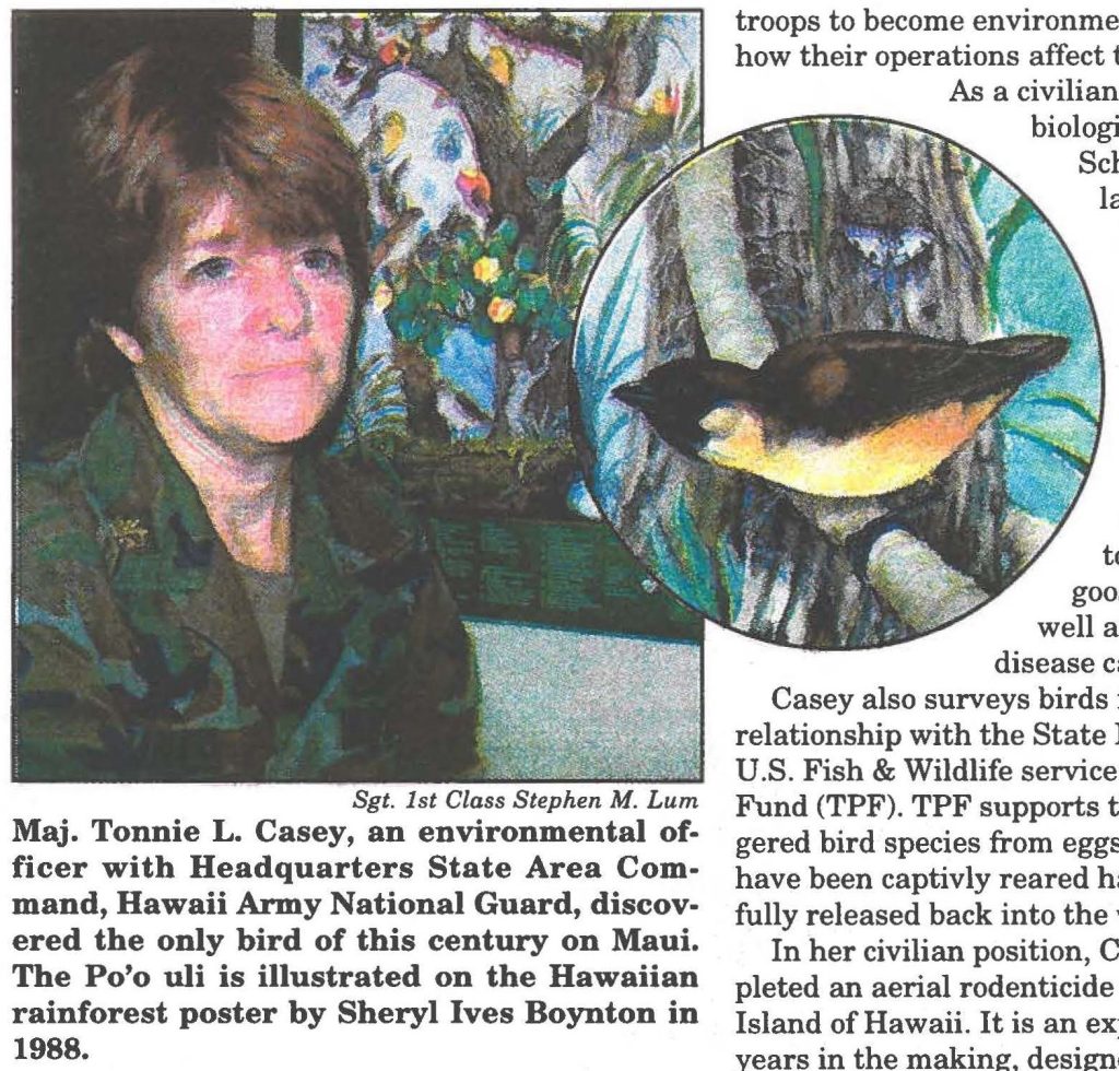Maj. Tonnie L. Casey, an environmental officer with Headquarters State Area Command, Hawaii Army National Guard, discovered the only bird of this century on Maui. The Po'o uli is illustrated on the Hawaiian rainforest poster by Sheryl Ives Boynton in 1988.