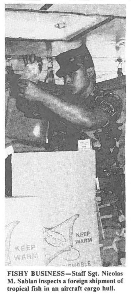 FISHY BUSINESS-Stair Sgt. Nicolas M. Sablan inspects a foreign shipment of tropical fish in an aircraft cargo hull.