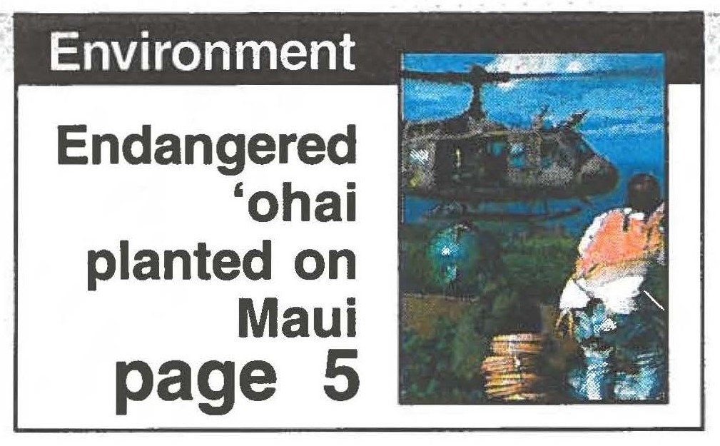 Endangered 'ohai planted on Maui page 5