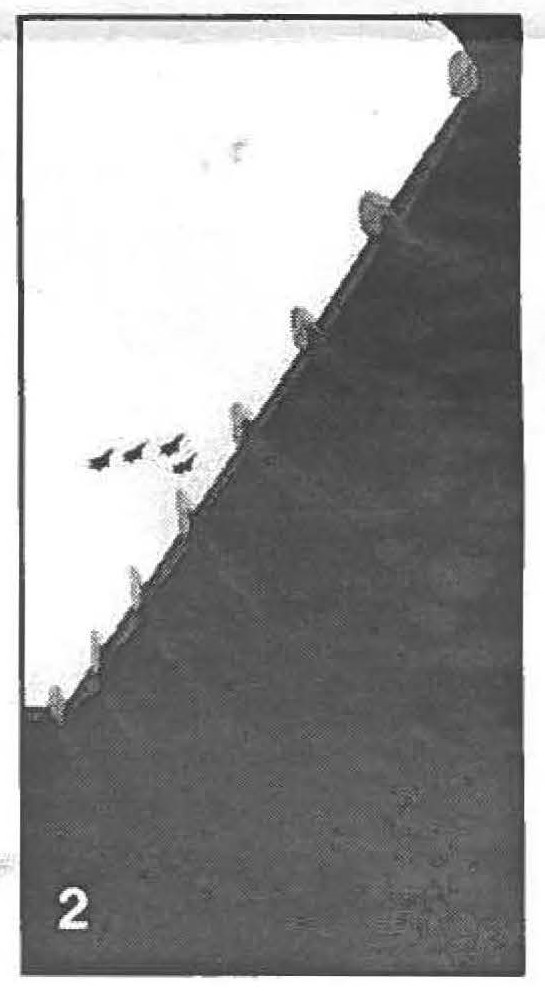 Flyby -F-15 Eagle jetfighters, 199th Fighter Squadron, Hawaii Air National Guard