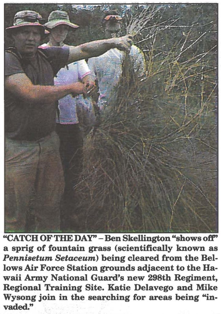 "CATCH OF THE DAY"-Ben Skellington "shows off" a sprig of fountain grass (scientifically known as Pennisetum Setaceum) being cleared from the Bellows Air Force Station grounds adjacent to the Hawaii Army National Guard's new 298th Regiment, Regional Training Site. Katie Delavego and Mike Wysong join in the searching for areas being "invaded."