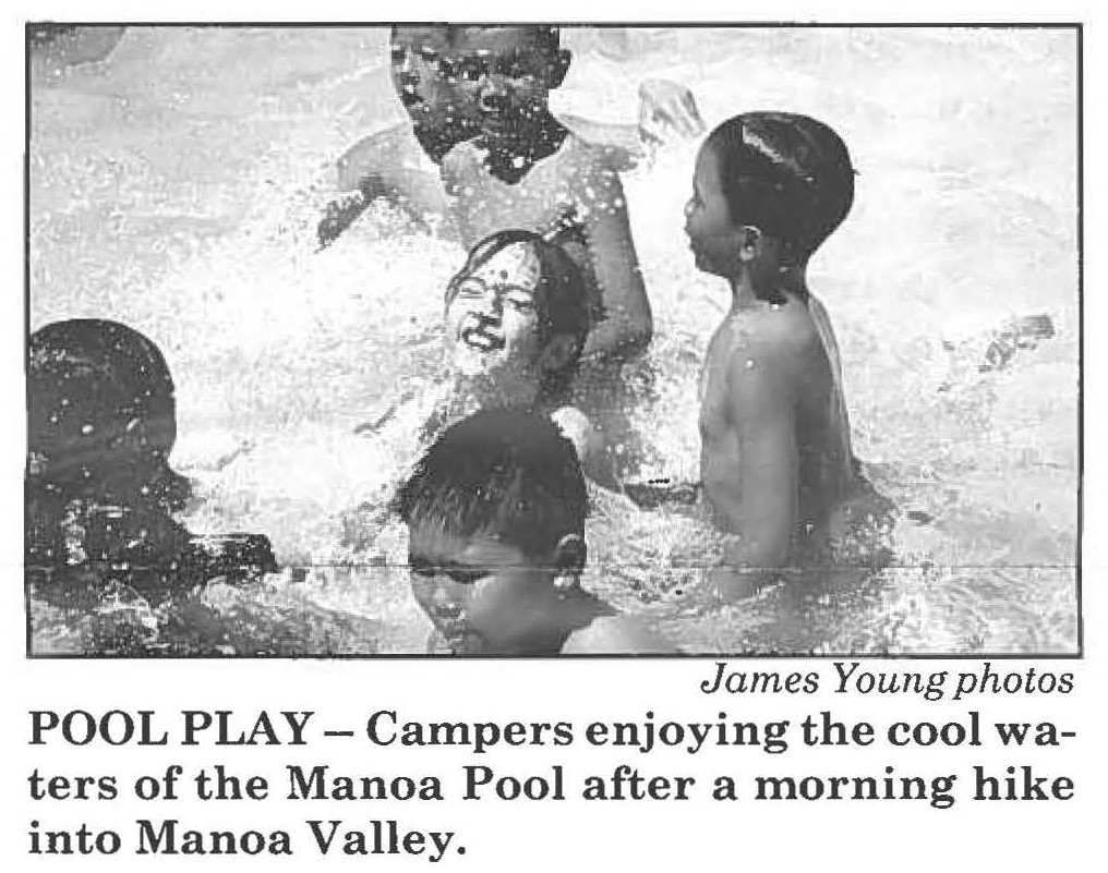 POOL PLAY - Campers enjoying the cool waters of the Manoa Pool after a morning hike into Manoa Valley