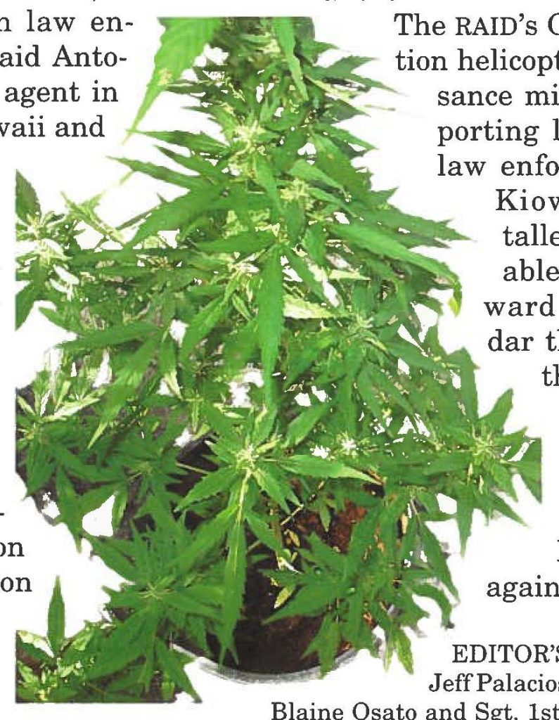 Marijuana eradication reaches out beyond Hawaii