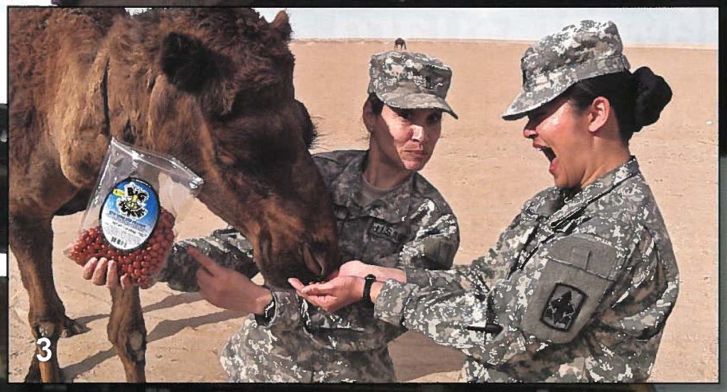 Chief Warrant Officer Janell A. Coyaso and Staff Sgt. Yuan-Jun Yang see if the locals like Iso peanuts in Kuwait
