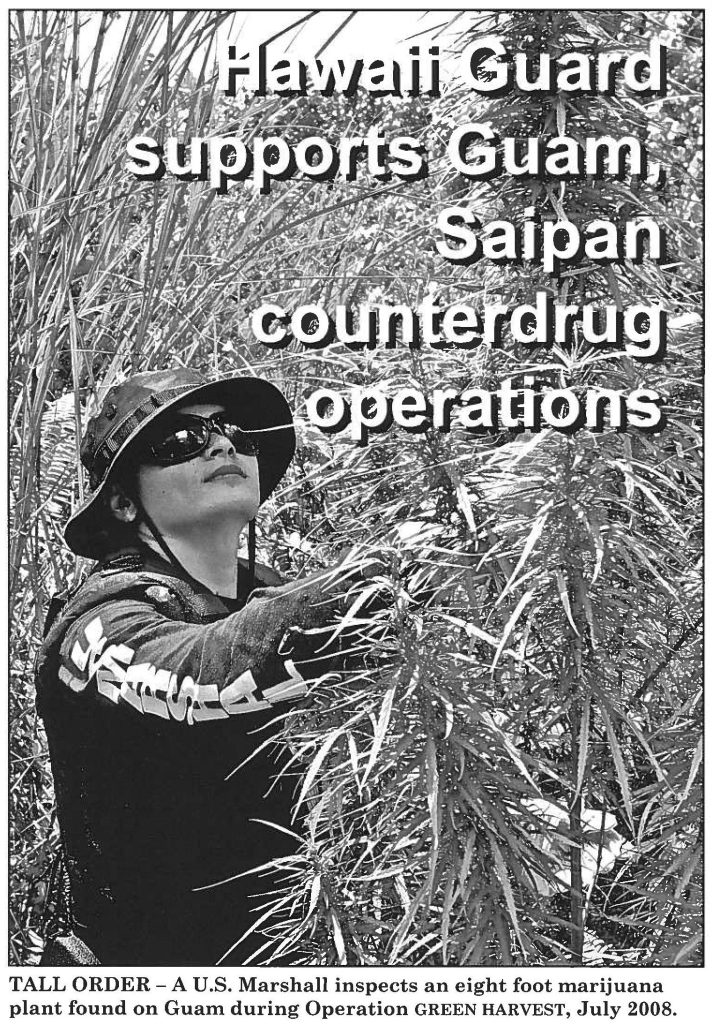 TALL ORDER -A U.S. Marshall inspects an eight foot marijuana plant found on Guam during Operation GREEN HARVEST, July 2008.