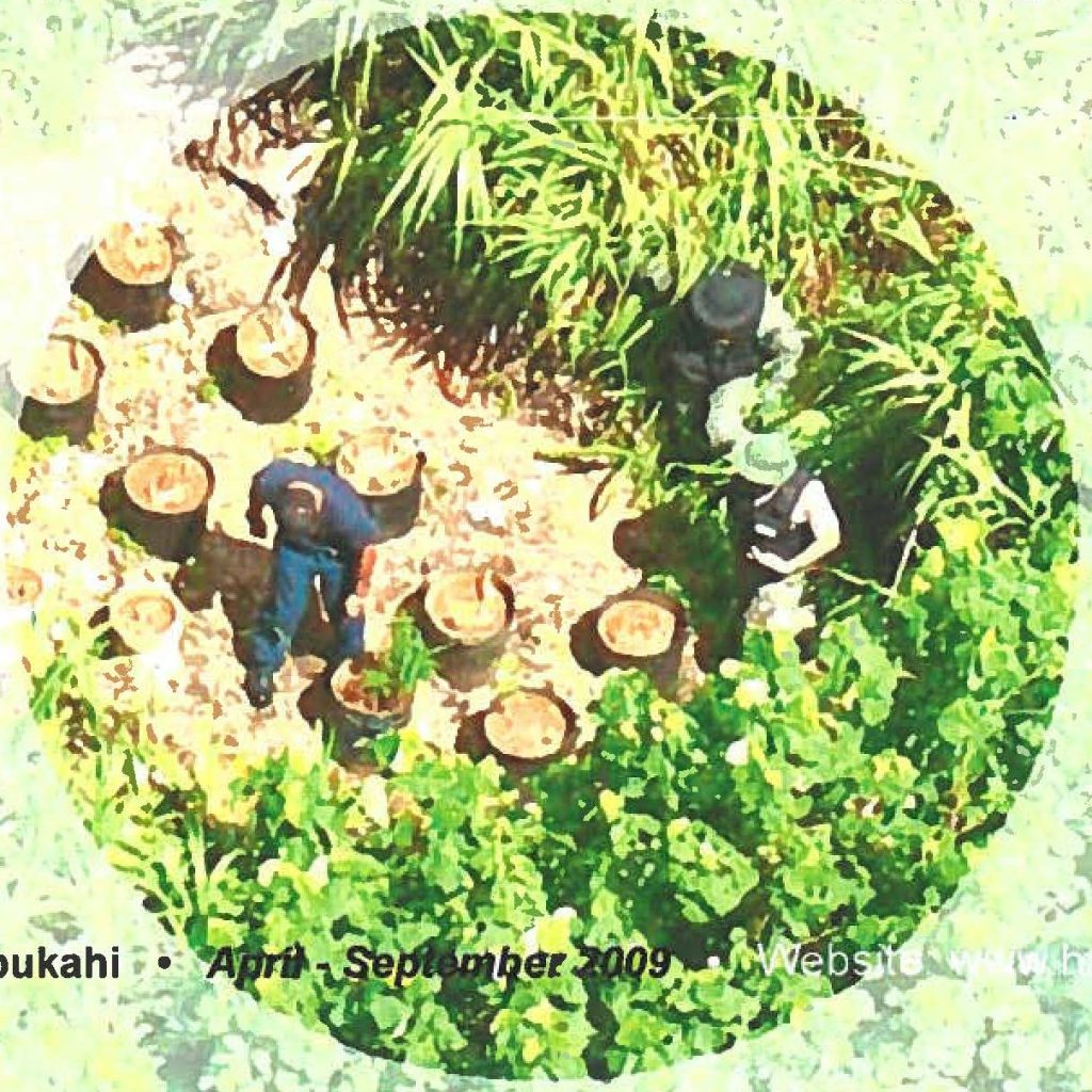 It's not easy being green: Marijuana eradication on Guam