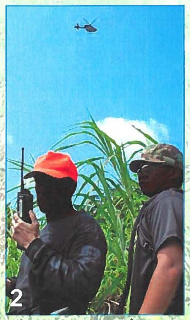 Team leader, "Chong" and Hawaii Air National Guard member with the Counter Drug Task Force receive directions to a patch of marijuana from spotter helicopter flying overhead during a DEA organized marijuana eradication mission held on Guam this June. Capt. Jeff Hickman photos