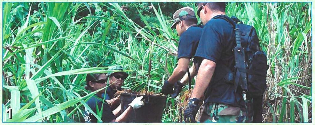 Hawaii National Guard Counter Drug Task Force members remove a planter, which was being used to grow illegal drugs, from a ditch in Guam during a DEA organized marijuana eradication mission held this June.