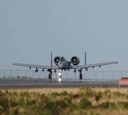 Sentry Aloha pits fighter vs. fighter