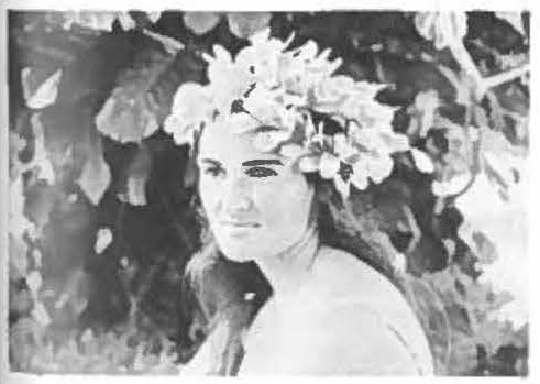 Ann Carlson
