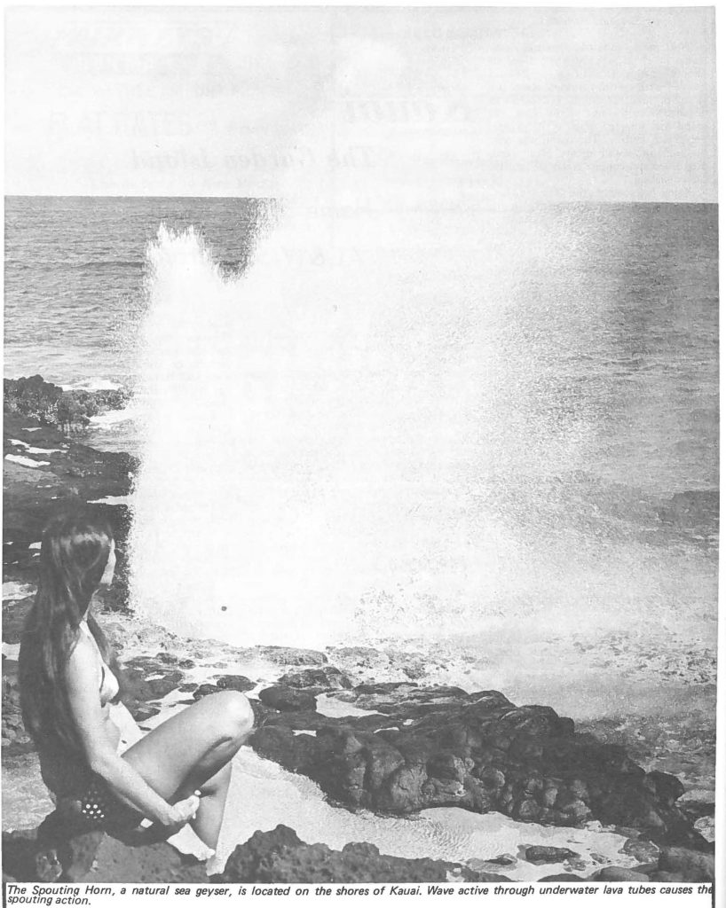 The Spouting Horn, a natural sea geyser, is located on the shores of Kauai. Wave active through underwater lava tubes cause the spouting action.