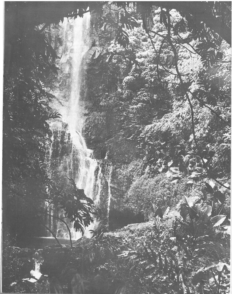 Maui