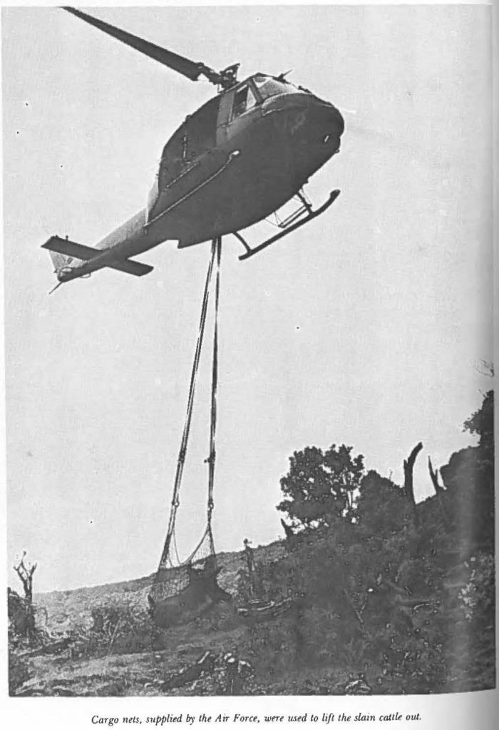 Cargo nets, supplied by the Air Force, were used to lift the slain cattle out.