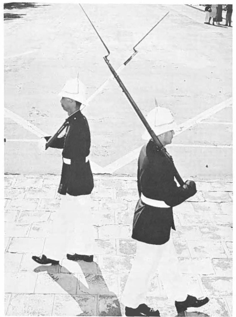 MOUNTING OF THE GUARD