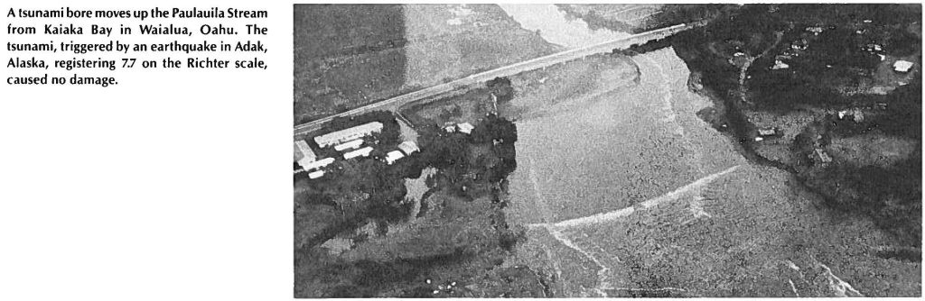 A tsunami bore moves up the Paulauila Stream from Kaiaka Bay in Waialua, Oahu. The tsunami, triggered by an earthquake in Adak, Alaska, registering 7.7 on the Richter scale, caused no damage.