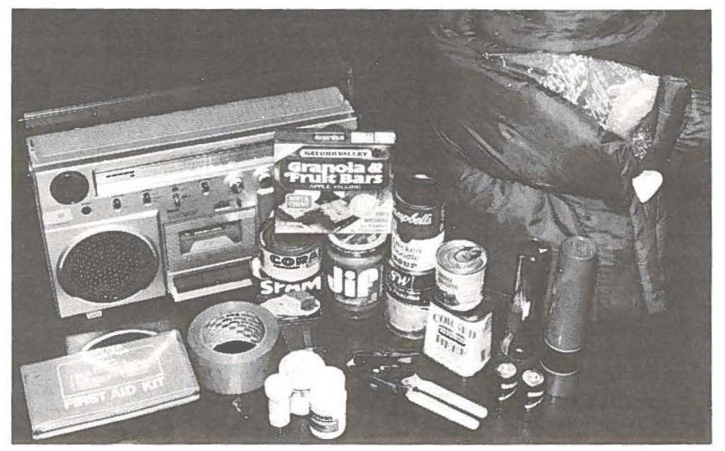 State Civil Defense Emergency Checklist