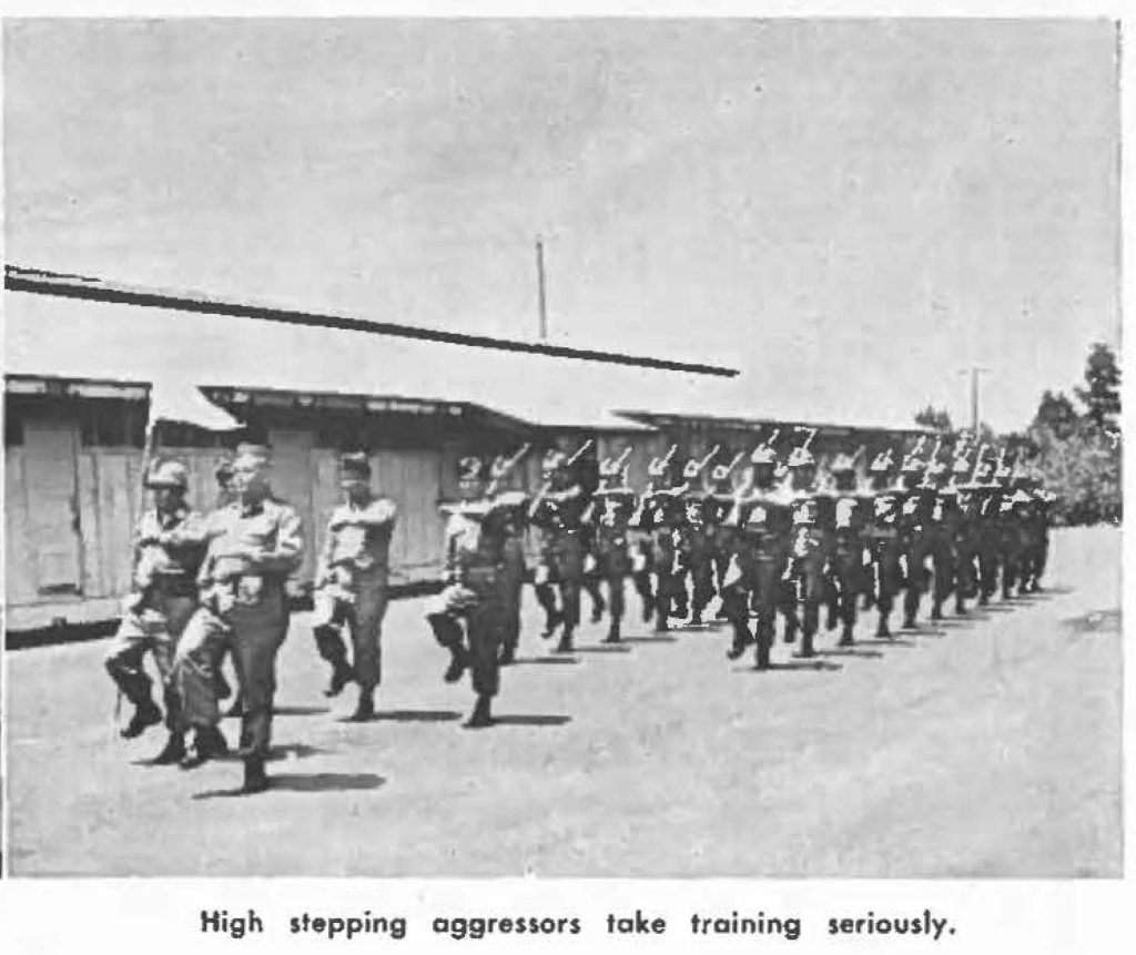 High stepping aggressors take training seriously.