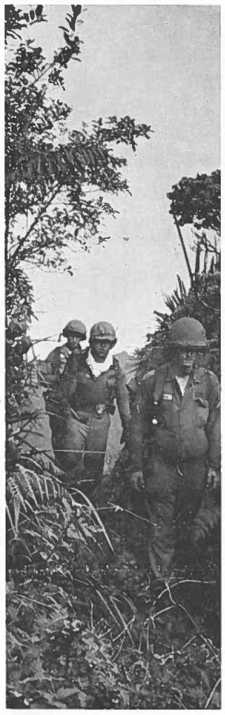 JUNGLE and GUERRILLA WARFARE