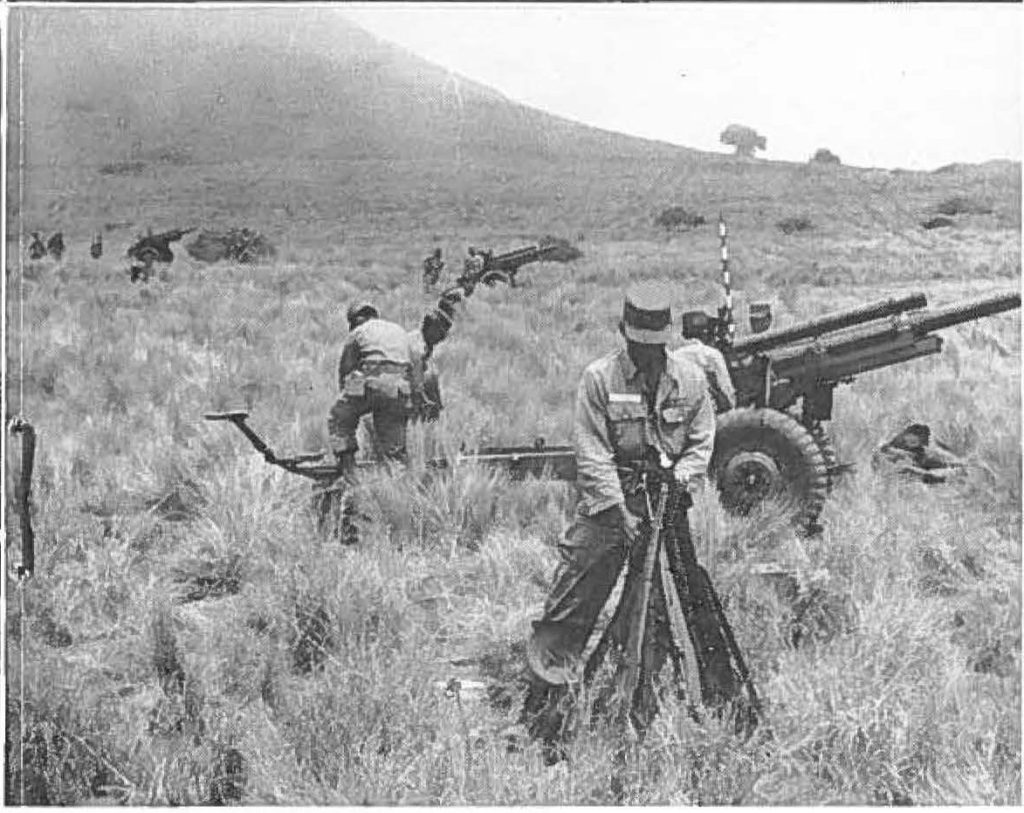 487th FA Bn at Pohakuloa