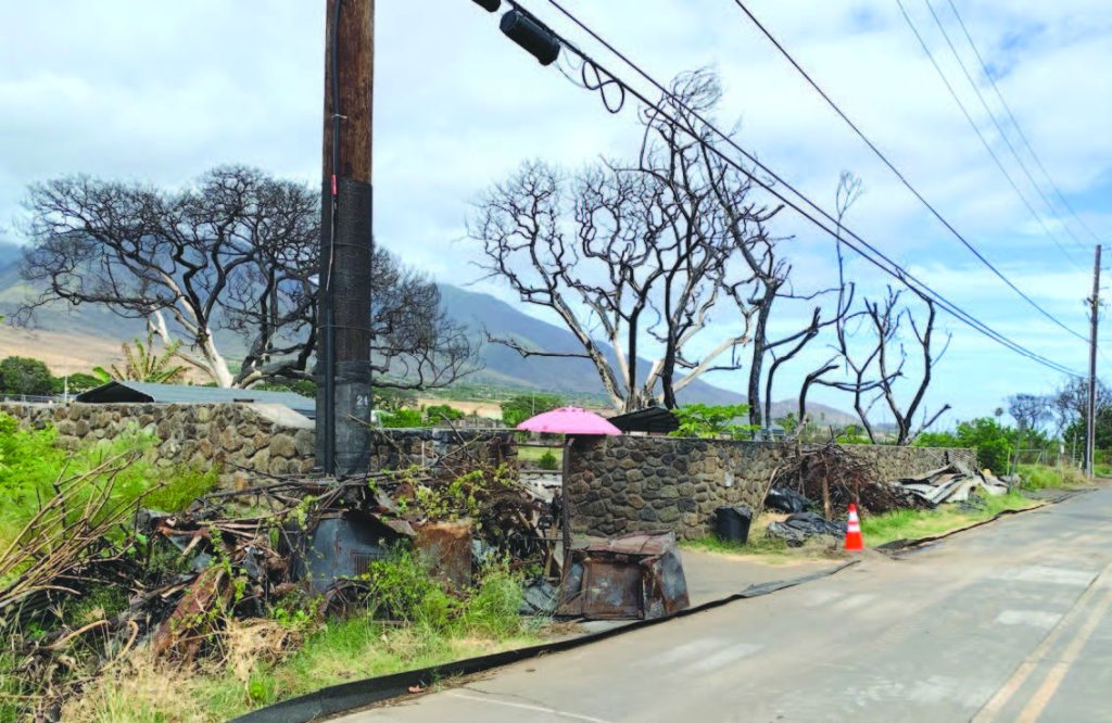 cleanup efforts during the Lahaina debris removal operations. – HIEMA photos